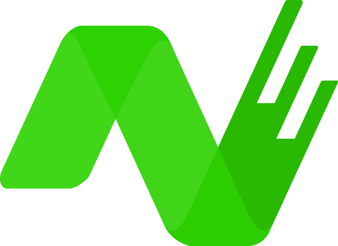 Logo N 1